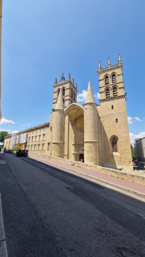 Le Petit Olivier En Coeur De Ville + Parking Incl. Montpellier Exterior photo